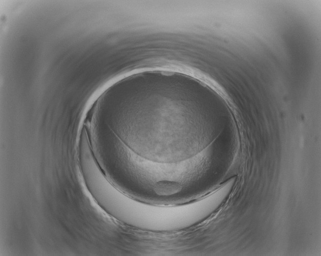 X0000083651536200702201421