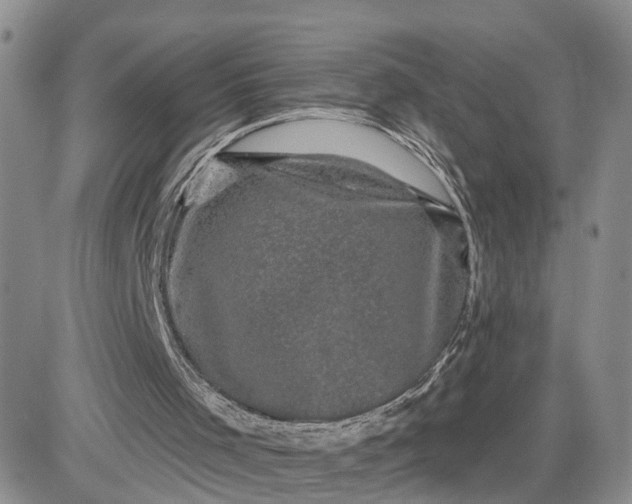 X0000083650001200702261128