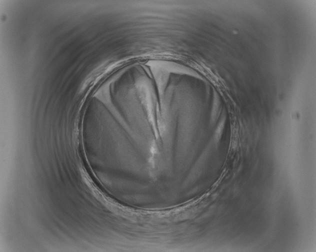 X0000083650002200702261128