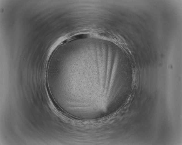 X0000083650003200702261128