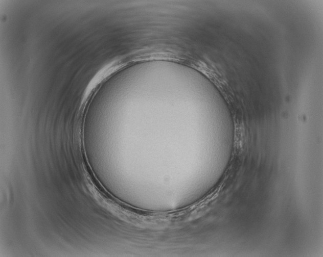 X0000083650004200702261128