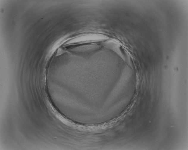 X0000083650005200702261128