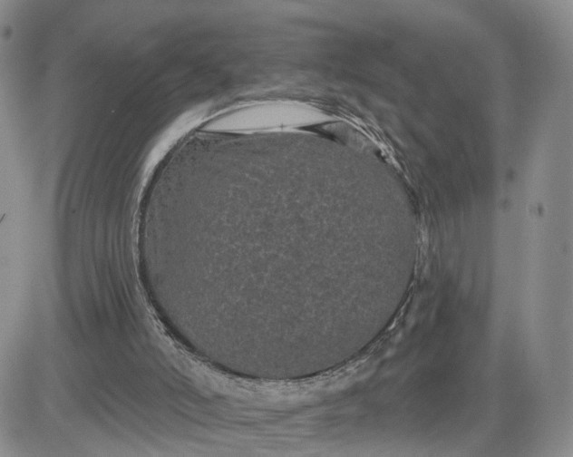 X0000083650006200702261128