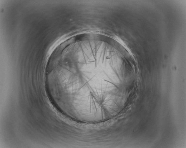 X0000083650007200702261128