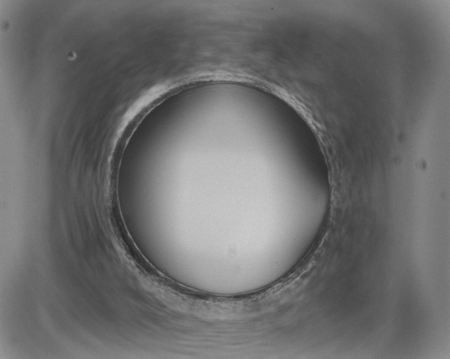 X0000083650008200702261128