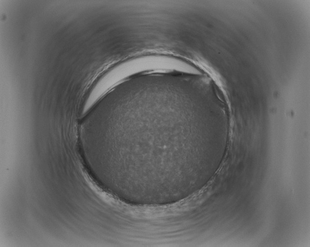 X0000083650009200702261128