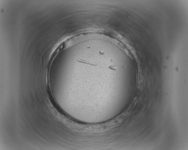 X0000083650011200702261128