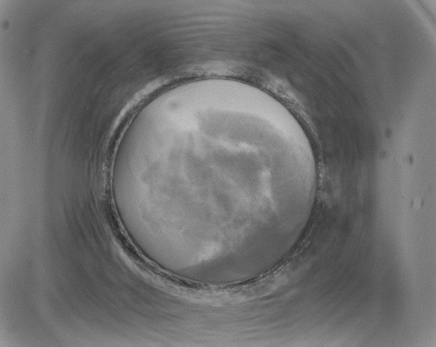 X0000083650012200702261128