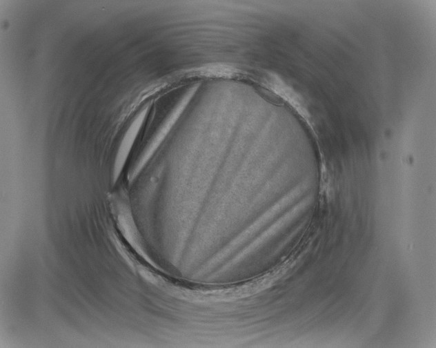 X0000083650013200702261128