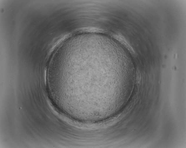 X0000083650014200702261128