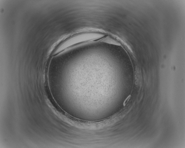 X0000083650015200702261128