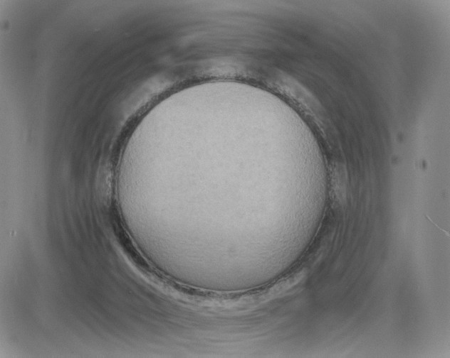 X0000083650016200702261128