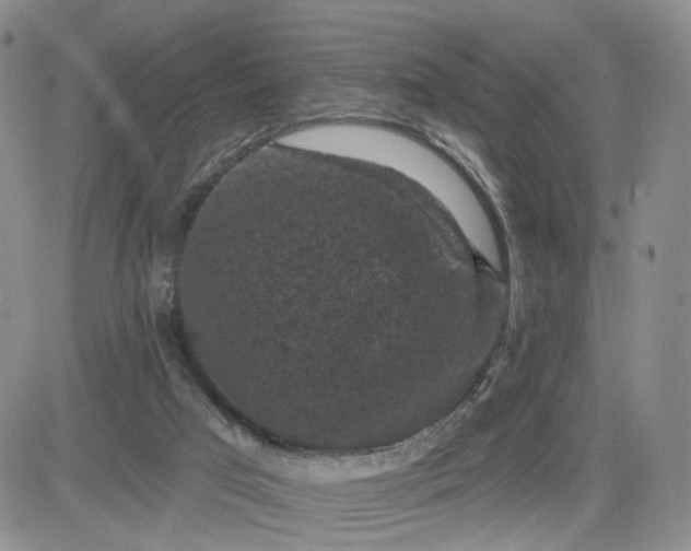 X0000083650017200702261128