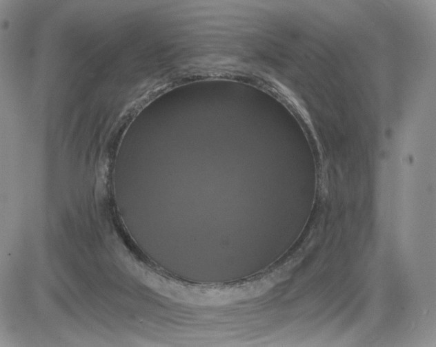 X0000083650018200702261128