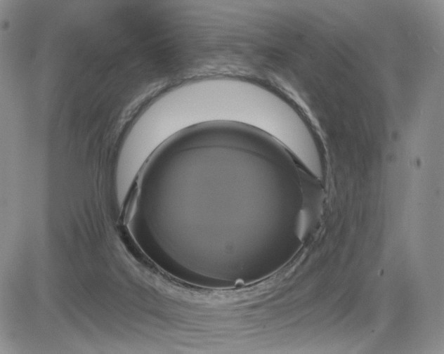 X0000083650019200702261128