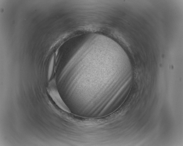 X0000083650020200702261128