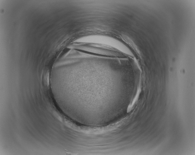 X0000083650021200702261128