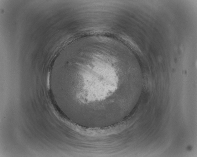 X0000083650022200702261128