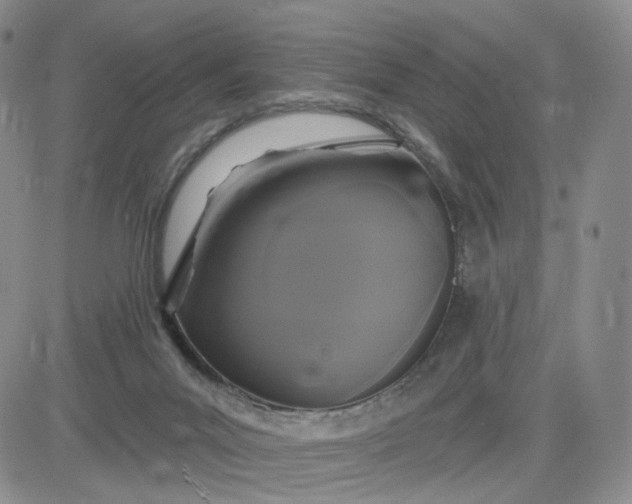 X0000083650023200702261128