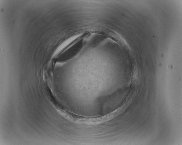 X0000083650025200702261127