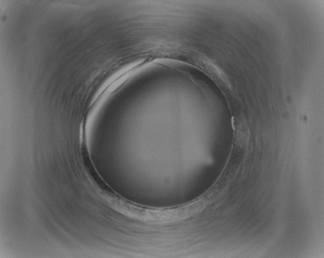 X0000083650027200702261127