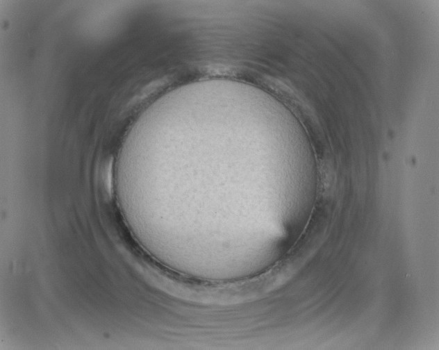 X0000083650028200702261127