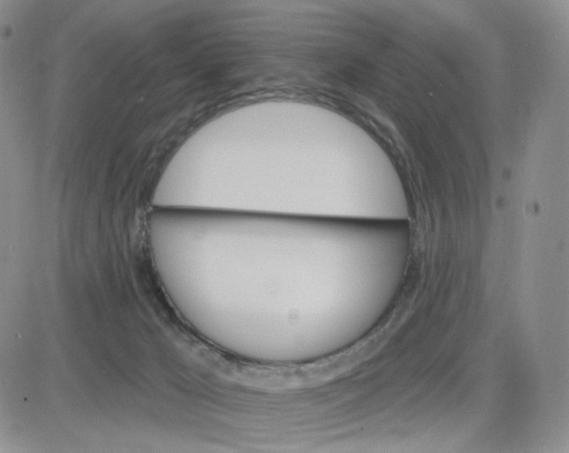 X0000083650029200702261127