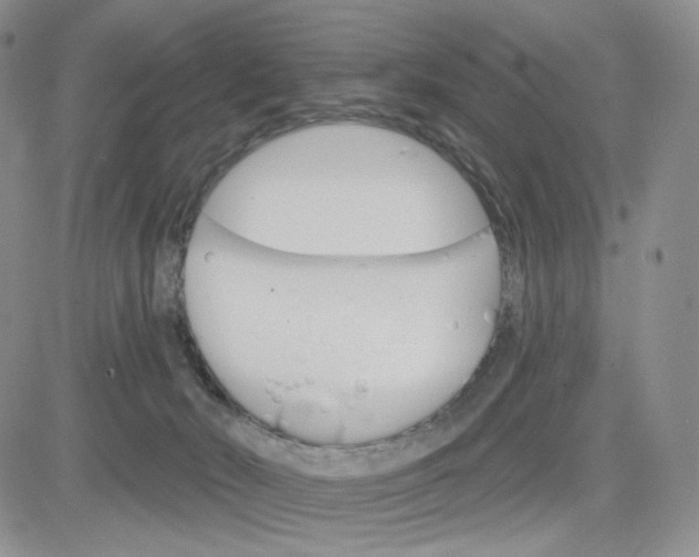 X0000083650030200702261127