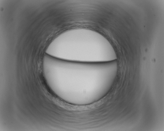 X0000083650031200702261127