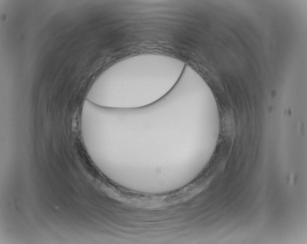 X0000083650032200702261127