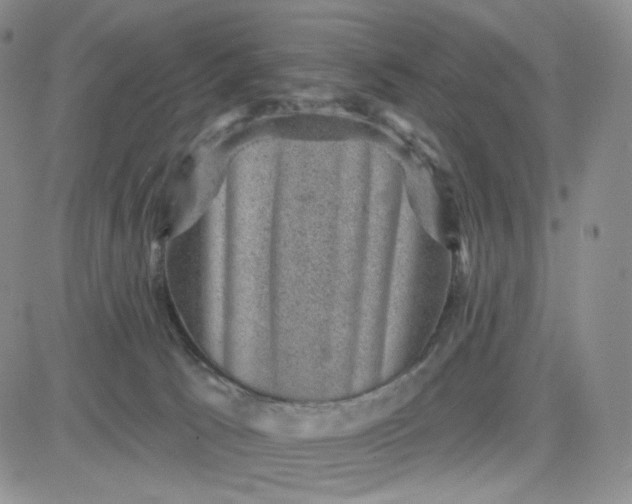 X0000083650033200702261127