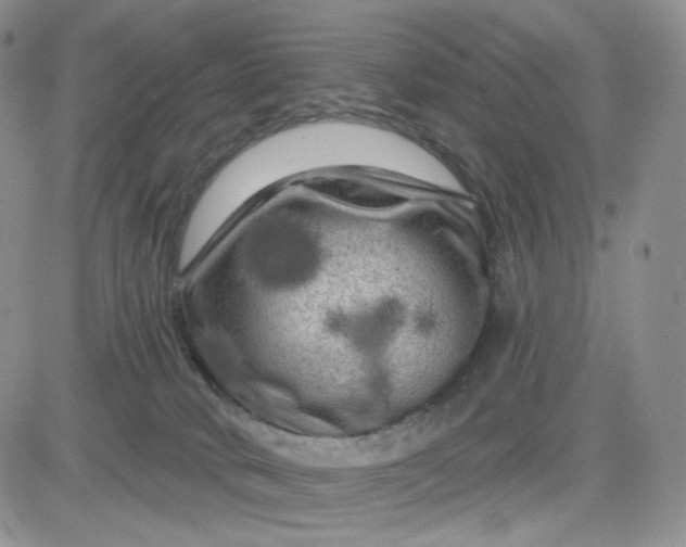 X0000083650034200702261127