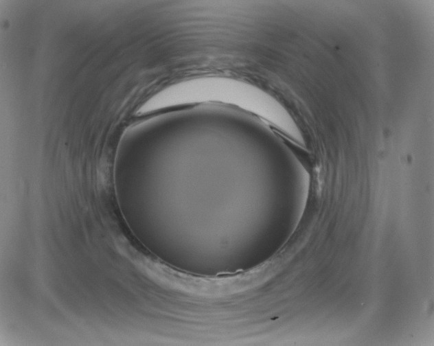 X0000083650035200702261127