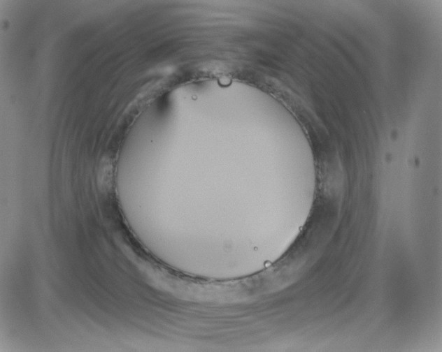 X0000083650036200702261127