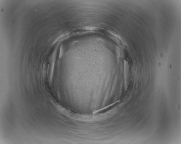 X0000083650037200702261127