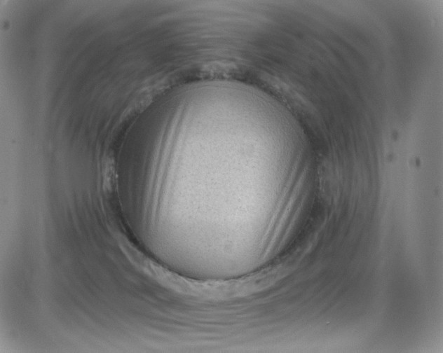 X0000083650038200702261127