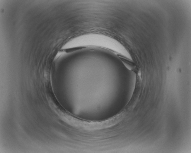 X0000083650039200702261127