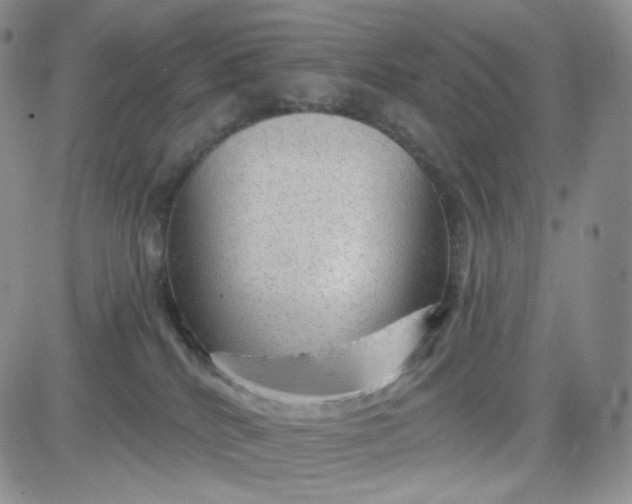 X0000083650040200702261127