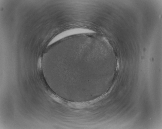 X0000083650041200702261127