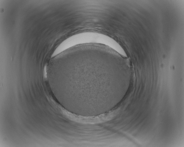 X0000083650042200702261127