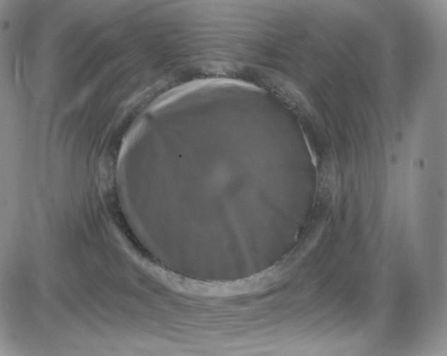 X0000083650043200702261127