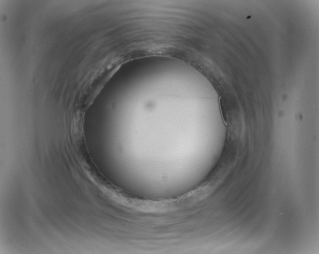 X0000083650044200702261127