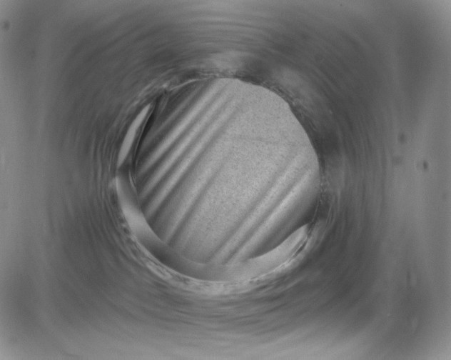 X0000083650045200702261127