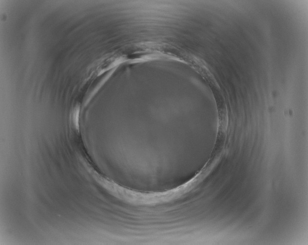 X0000083650047200702261127