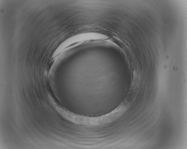 X0000083650048200702261127