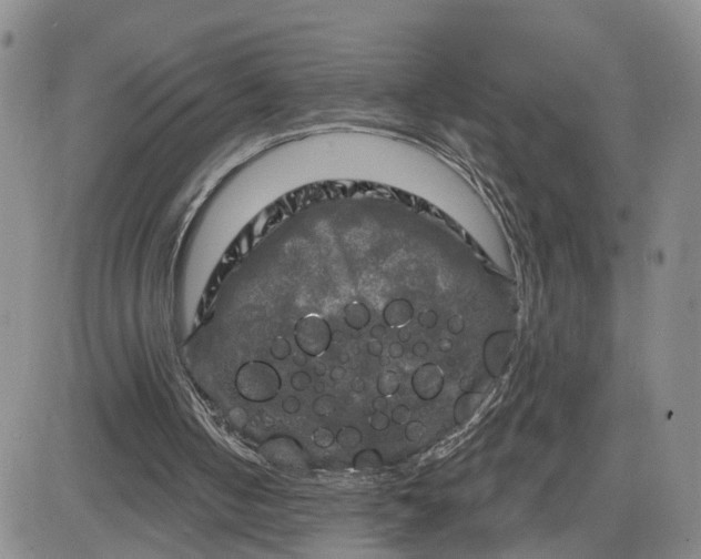 X0000083650050200702261126