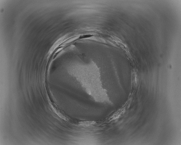 X0000083650051200702261126