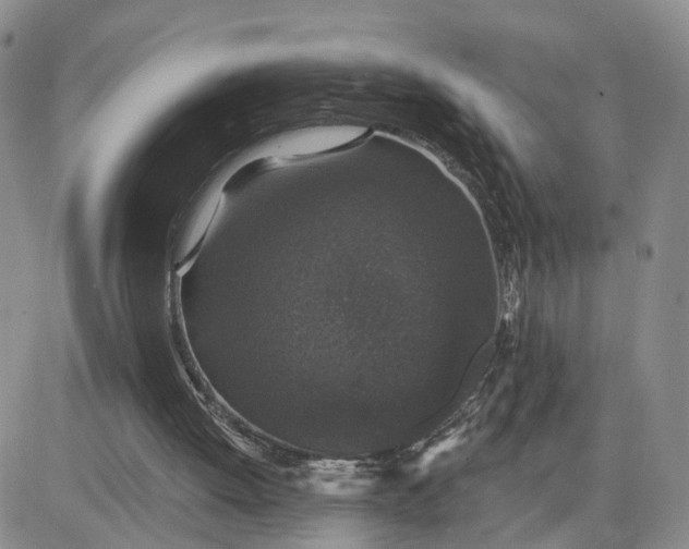 X0000083650052200702261126