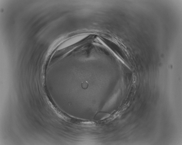 X0000083650053200702261126