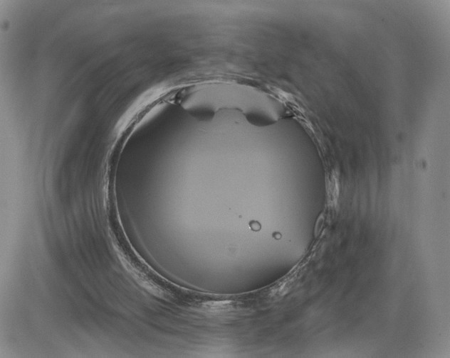 X0000083650054200702261126